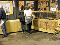 The CFA Intertional Cat Show